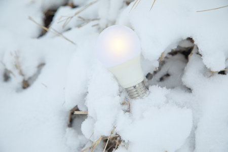 Light bulb on snow at winter.