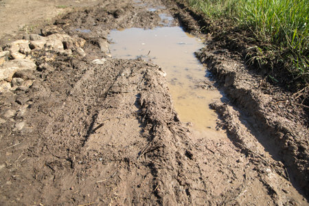 Dirty ground road in the nature at spring time.