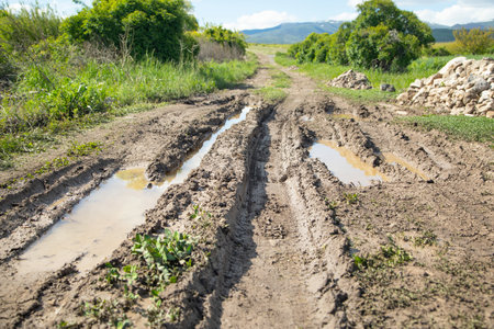 Dirty ground road in the nature at spring time.