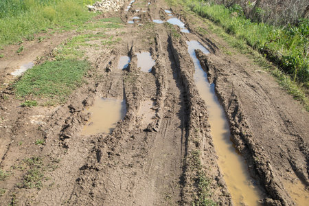 Dirty ground road in the nature at spring time.
