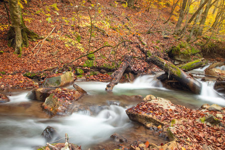 Creek with water flowing in autumn.の写真素材