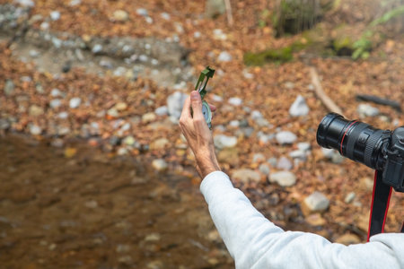 Photographer holding a digital camera taking pictures in nature.
