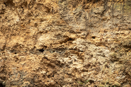 Dirt outdoor background texture.の写真素材
