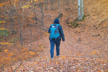 Woman with a backpack walk a forest path.の写真素材