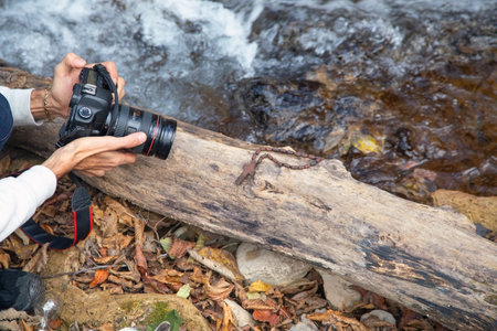 Photographer holding a digital camera taking pictures in nature.の写真素材