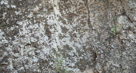 Stone background or texture. Outdoors stoneの写真素材