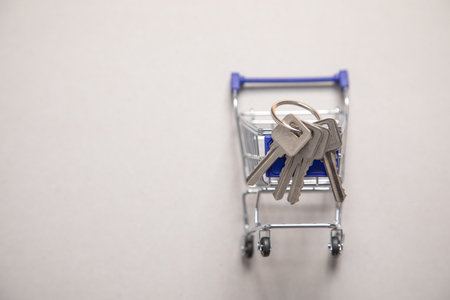 Shopping cart with a house keys. Real Estateの写真素材