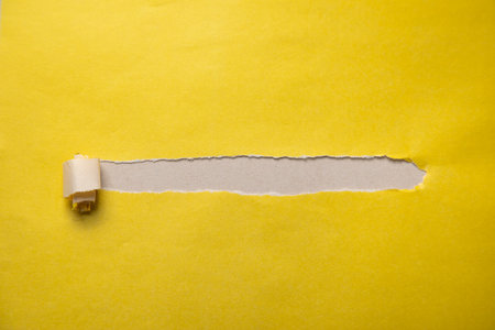 Empty torn paper for your text or object. Businessの写真素材