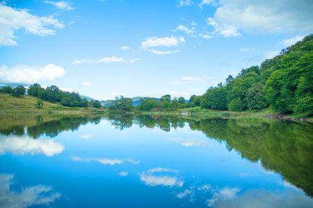 View of beautiful lake. Summer. Environmentの写真素材