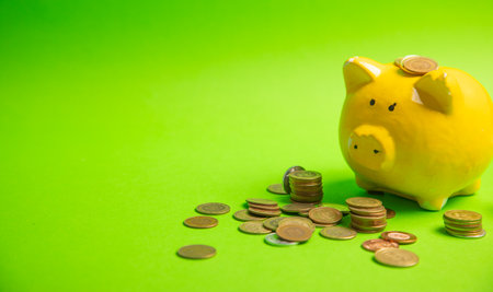 Piggy bank and coins on the green background.の写真素材