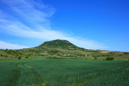 Badacsony mountain in Hungary with a crop field in front.の写真素材