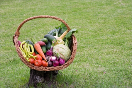 Basket filled with lots of fresh vegetables with a green grass background.の写真素材