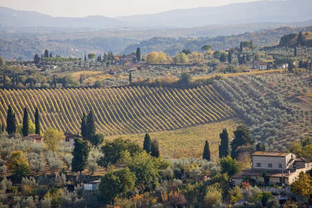 Rural Tuscan scenery view from San Gimignano, Italy.の写真素材