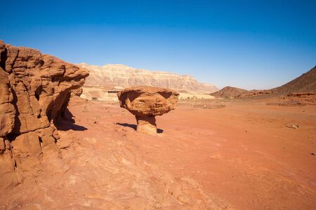 A Sandstone Mushroom and hills in Negev Desert, Timna Park near to Eilat in Israel.の写真素材