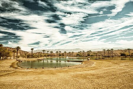 The Timna Lake - Oasis in Timna park, Israel (HDR image with black gold filter)の写真素材