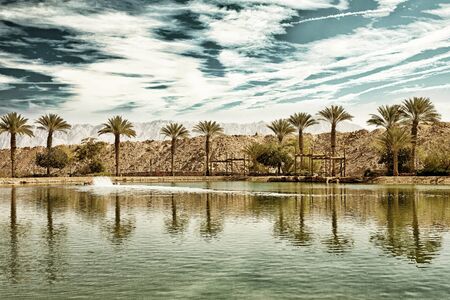 The Timna oasis Lake in Timna National park near to Eilat, Israel (HDR image with black gold filter)の写真素材