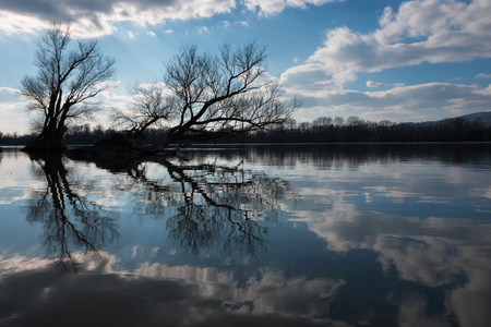 Artistic photo of bare trees reflecting on a river's water surface with a nice cloudscapeの写真素材