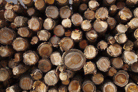 Logs background