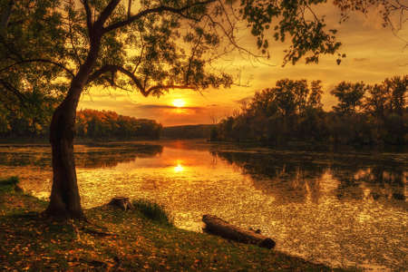 Sunset at the backwater in octoberの写真素材