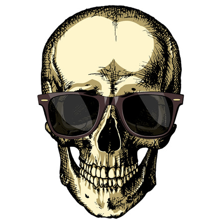 Human skull wearing sunglasses on a blank backgroundのイラスト素材