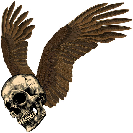 Human skull with eagle's wings on an empty backgroundのイラスト素材