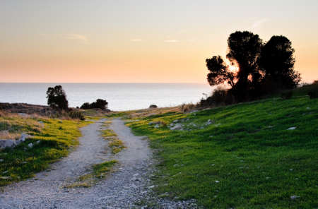 Country road leads to sunset and seaの写真素材