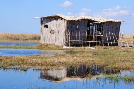 Poor cane abode on rushy lake shoreの写真素材