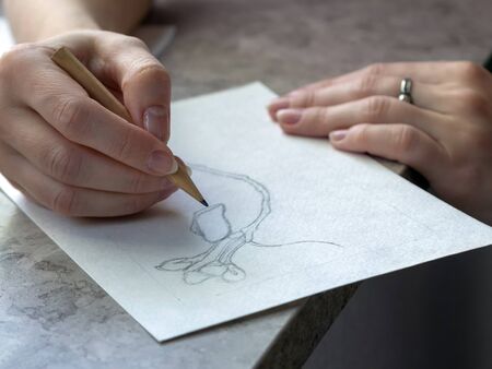 Woman draws a pencil sketch on a white sheet of paperの写真素材