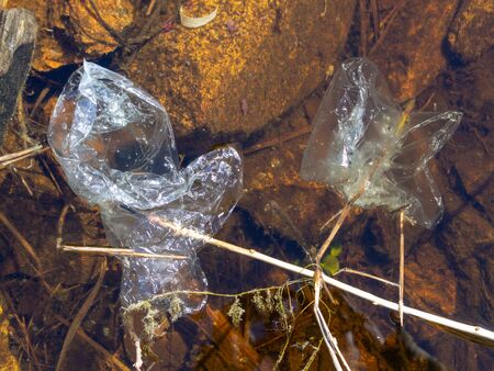 Underwater pollution: - discarded plastic bag in the riverの写真素材