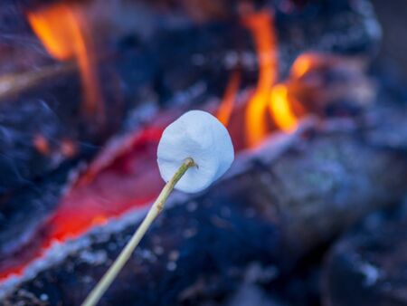 Marshmallow on skewers is fried at the stakeの写真素材