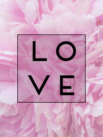 text love in a frame on a background of pink peonies flowers. postcard.の写真素材