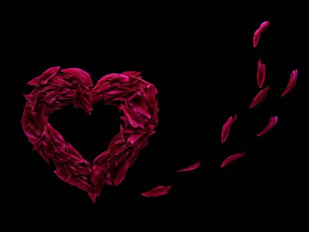 heart of red and dark pink petals of peonies. Valentine's Dayの写真素材