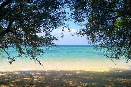Deserted beach in blue clear sea and green trees.
