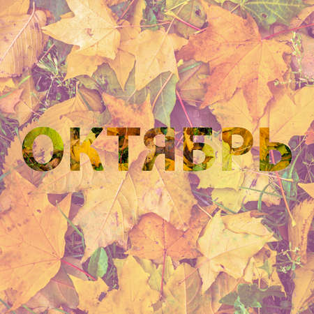 Background of orange maple leaves with congratulatory inscription Octoberの写真素材