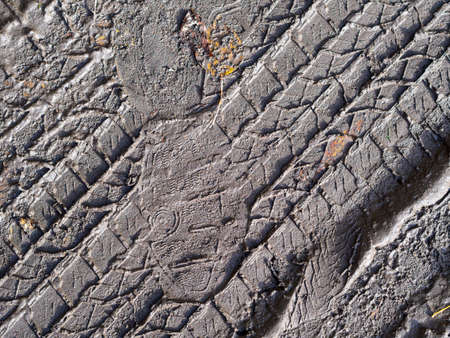 in the desert track of car and truck in the sand like abstract backgroundの写真素材
