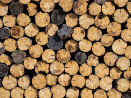 pile stacked natural sawn wooden logs background, top viewの写真素材