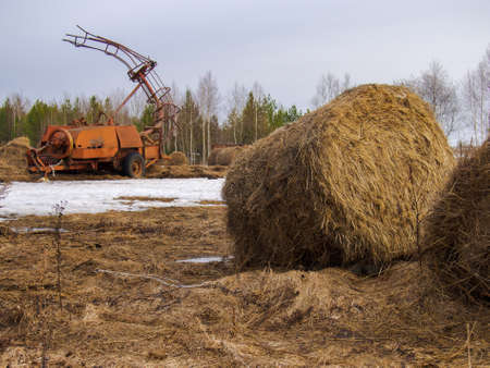 Farmers harvesting hay by tractoresの写真素材