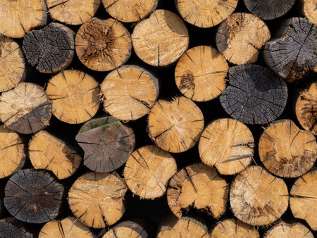 pile stacked natural sawn wooden logs background, top viewの写真素材