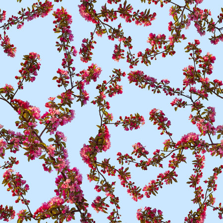 Apple blossom branch of flowers cherry. Traditional ornate spring flowers sakura pattern seamless. White flower buds on a tree. Sacura collage artistic illustration.の写真素材