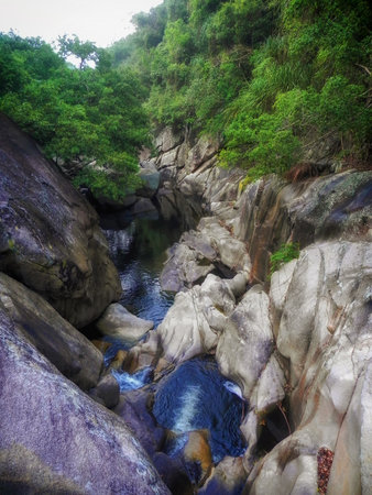 Waterfall and river in the rainforestの写真素材