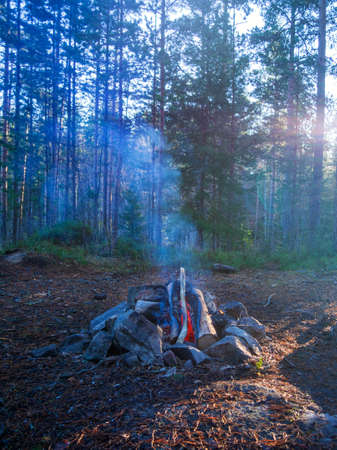 Campfire in the woods at a picnic surrounded by stonesの写真素材