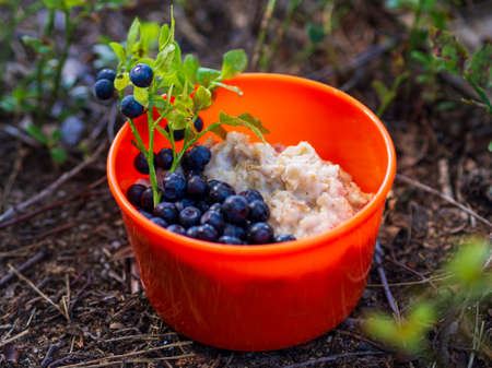 Oatmeal with blueberries in an orange plate on the nature in the forest. Hiker's breakfast.の写真素材
