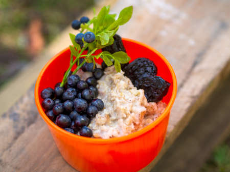 Oatmeal with blueberries in an orange plate on the nature in the forest. Hiker's breakfast.の写真素材