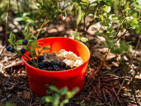 Oatmeal with blueberries in an orange plate on the nature in the forest. Hiker's breakfast.の写真素材