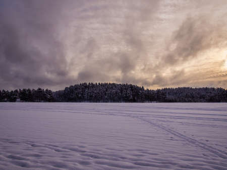 Forest after a heavy snowfall. Winter ponamramny landscape. Morning in the winter forest with freshly fallen snowの写真素材