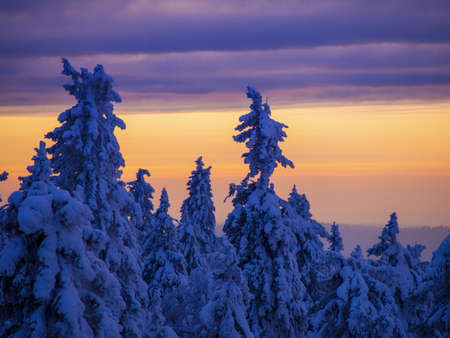 Snow-covered trees in winter at sunset in the foothills of the Ural mountainsの写真素材