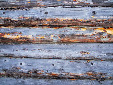 Vintage worn and dirty wood texture painted in blue.の写真素材