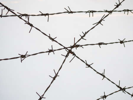 silhouette of the barbed wire on white backgroundの写真素材