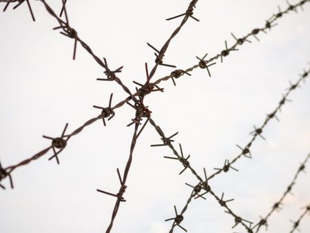 silhouette of the barbed wire on white backgroundの写真素材