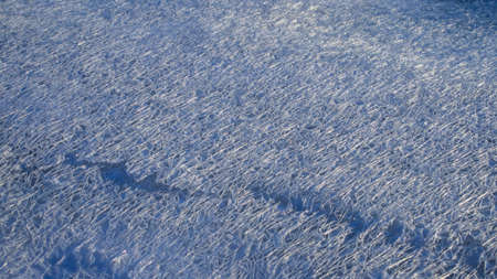 Network of cracks in thick solid layer of ice of a frozen riverの写真素材